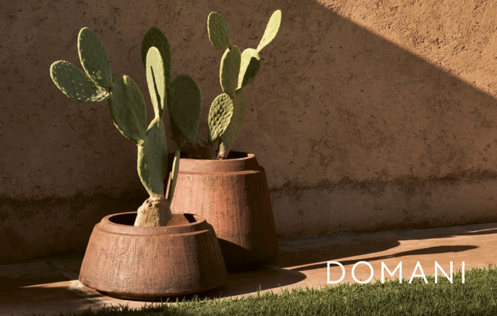 Domani